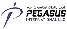 Pegasus International